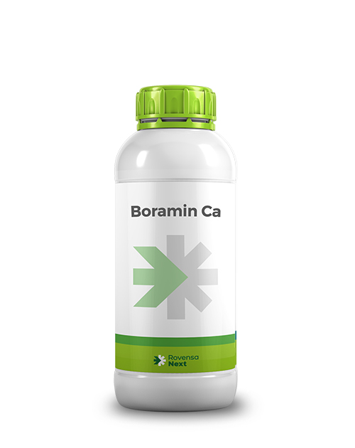 BORAMIN--CA