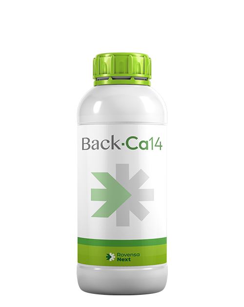 back-Ca14-bottle