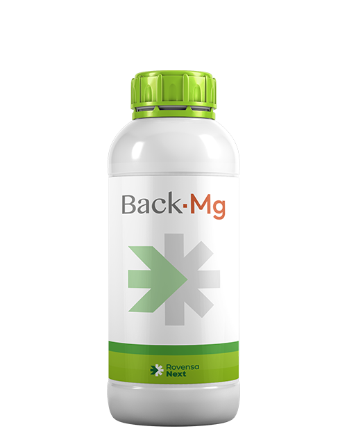 back-Mg-bottle