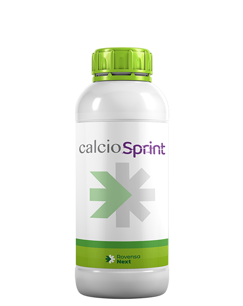 calcio-sprint-bottle