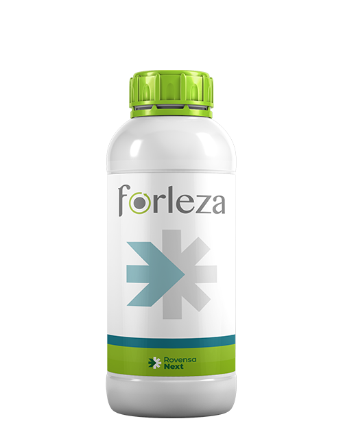 forleza-bottle