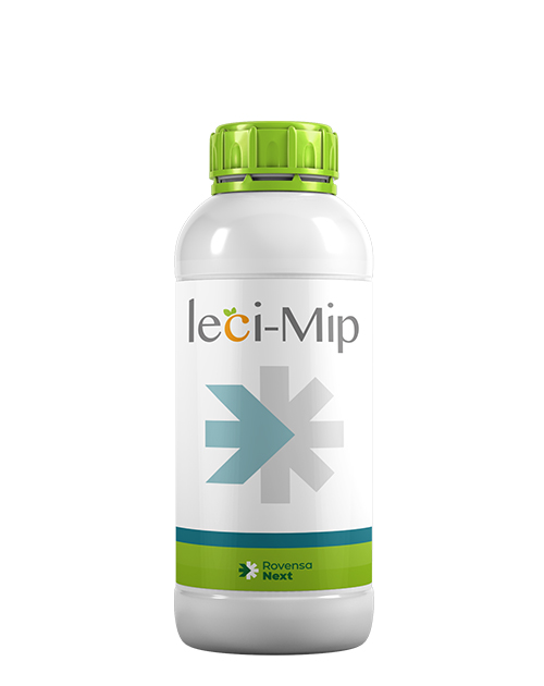 lecimip-bottle(2)