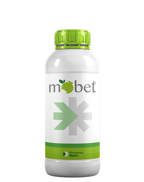 mobet-bottle