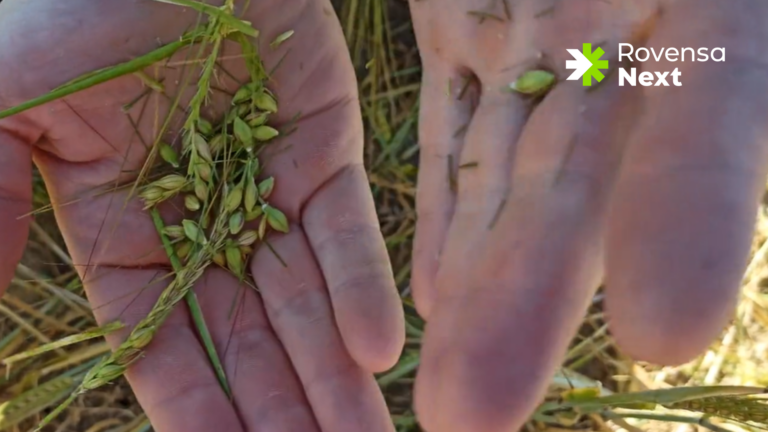 Agricultura Biodinamica - Banner