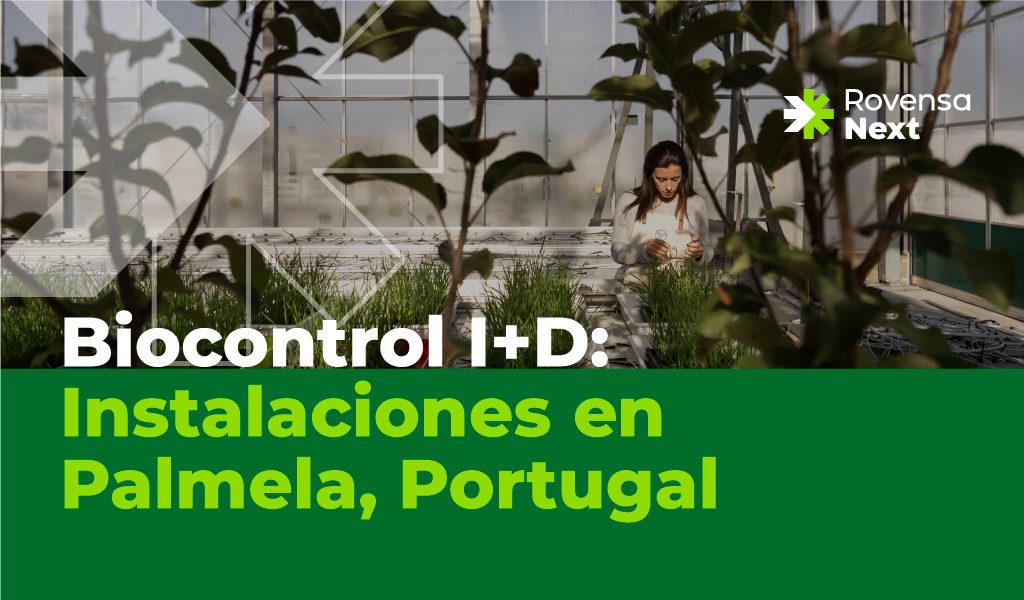 "Innovación agrícola en Palmela - Laboratorios de biocontrol en Rovensa Next"