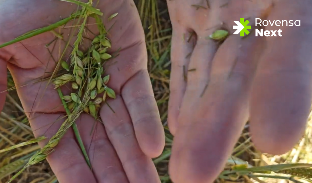 Agricultura Biodinamica - Banner