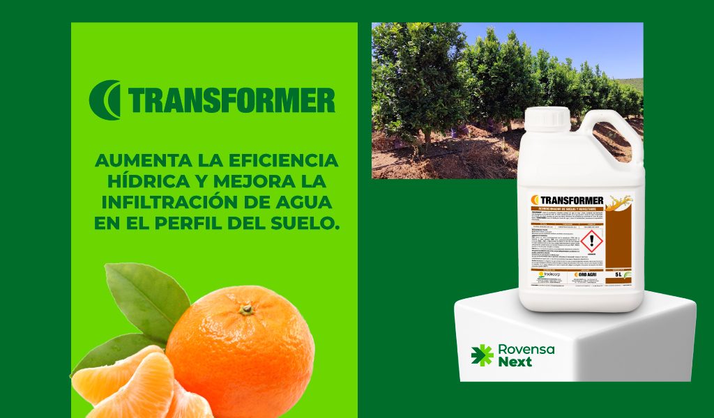 nota-TRANSFORMER-RNChile